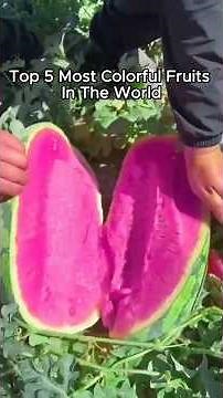 Top 5 Most Colorful Fruits In The World