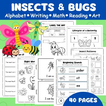 Insects and Bugs Activity Worksheet Packet: Preschool & Kindergarten (40 Pages)