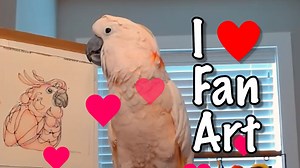 A package? For me? Momager says that we have to be careful opening it. I love getting mail and I love fan art! Our friend Lori is super talented and this piece of art is definitely getting framed and put on the wall. Gorgeous! Thank you Lori! This made my day! | Max the Moluccan