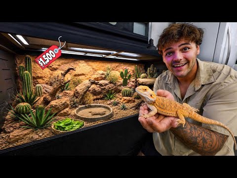 I Rescued a REPTILE and Built it a DREAM Enclosure!!