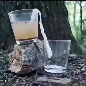 Water Filtering method you probably didn't know about Survival Magazine #survival #offgrid #overlanding #camping #bushcraft #prepper #survivalist #homesteading #bushcrafting #bushcrafters #woodsman #outdoorlife #outdoorskills #outdoorsman #country #countrylife #edcgear #bugout #bugoutbag #edc #everydaycarry | Survival Magazine