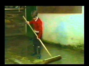 Стюарт Андерсон Младший (Шотландия) - Stuart Anderson Junior (Scotland) - Con shine