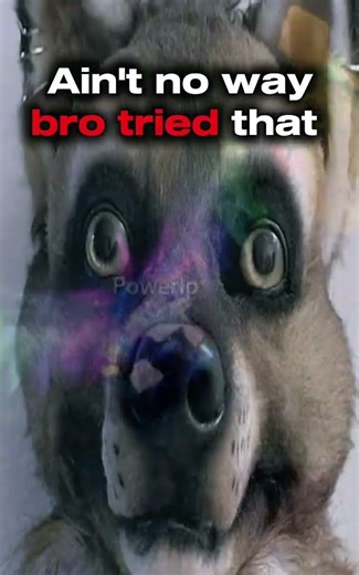 It was once a glitch #tsb #tsbg #tsbmeme #tsbgmeme #funny #meme