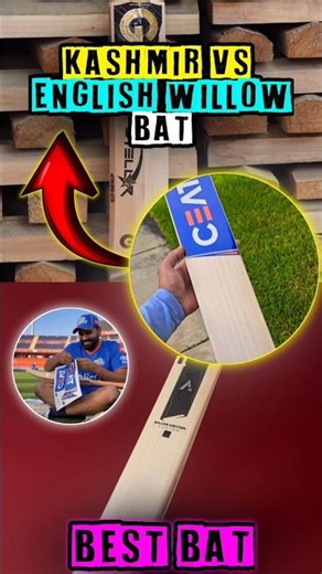 Kashmir Willow vs English Willow — Kaunsa Bat BEST? 🏏#cricket