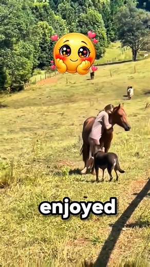 She Haven't Seen The Horse in A Long Time And This Happen #horses #shorts,