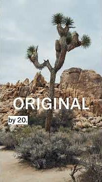 VSCO AI Lab: Upscale