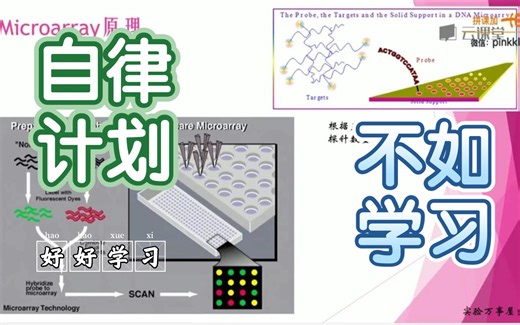 课时01.Microarray-1.概述