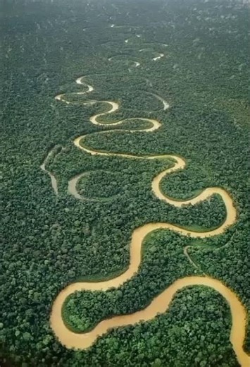 Amazon River: Journey Through the Longest River Ever! 🌊🌿 | Earth's Greatest Wilderness #wildlife
