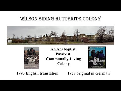 How do diversification and self-sufficiency keep the Wilson Hutterite Colony viable?