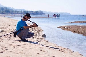 What Is an Auteur? Find Your Unique Creative Voice