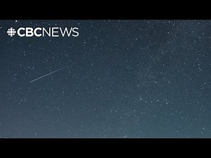 Want to catch a glimpse of the Perseids meteor shower? Here's how
