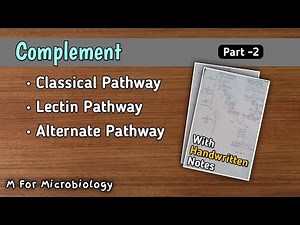 Complement (Part-2) | Classical pathway | Lectin pathway | Alternate pathway