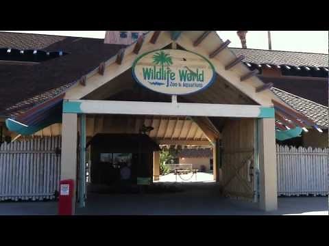 Wildlife World Zoo in Litchfield Park Arizona