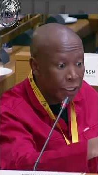 Top 5 Lies in Nkabinde's Affidavit EXPOSED