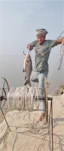A 155 kg monster fish was caught using a 5 kg Katla fish #giantfish #hookfishing #padmariver