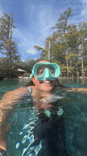 Cherishing My Ethical Conch Shell Collection