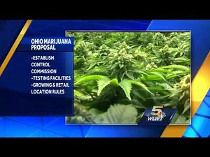 A Step Towards Legalizing Pot In Ohio?