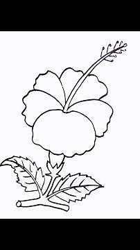 How to draw hibiscus flower easy step by step | How to draw china rose simple