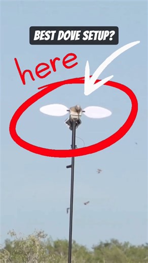 September doves coming 🔜! Our ES Dove and extension pole makes for a highly effective setup. Don’t forget to stock up on all the essentials before the season starts. #MOJOOutdoors #MOJODove #MOJOTV | Mojo TV