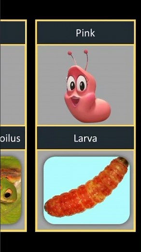 real life Larva characters #larva #animation