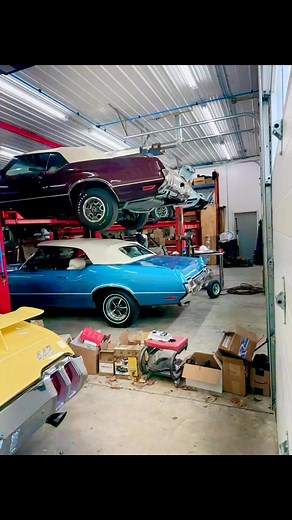 Thornton Muscle Cars on Reels