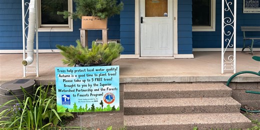 Plant trees for clean drinking water in Marquette