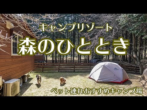 キャンプ動画【キャンプリゾート森のひととき】ペット連れにおすすめのキャンプ場レポ
