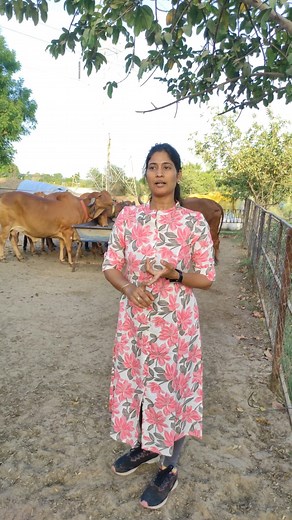 1.1M views · 45K reactions | Biology Teacher की नौकरी छोड़कर चलाती हैं देसी गायों की गौशाला | #fblifestyle #maniimprovefarmer #farming | MANI Improve FARmer | Facebook