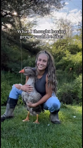 Lauren Ketterman | You guys should get some geese #hobbyfarm | Instagram
