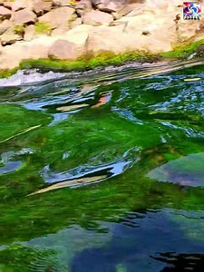 52K views · 8.9K reactions | PONT ROMAIN ASCAIN. PAYS BASQUE. | Pays Basque BAB | Facebook