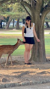 Foreign Girl’s Deer Love 💕🦌 | Nara Park Japan Travel #narapark #deer #japantravel #viral #nara #nature #japan | Avasaad