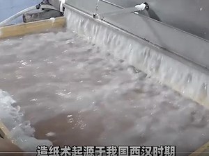 造纸术什么时间出现的