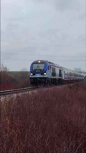 Nowy Rozkład Jazdy PKP 2025/2026 Ic Hetman do Kraków Główny #shortvideo #train #travel
