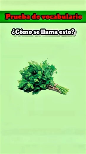 Master Spanish Vocabulary with This Fun Test