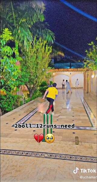 Cricket Shots Tutorial: Techniques for Beginners