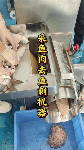 Real-time footage of the fish meat harvester removing fish bones and harvesting fish meat particles, as well as the machine for harvesting minced fish and shrimp meat