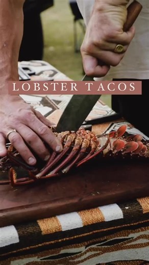 Feast Over Fire on Instagram: "Going camping or cooking over fire doesn’t simplify things, like cooking sausages or a simple steak. I believe taking the time to set up your fire, outdoor cooking station and set your brain for creating a dish that you will remember and share it with your friends and family in nature. We took a break to go out camping and treat ourselves to a lobster 🦞 tacos 🌮. Sounds a bit crazy right ? Expensive ingredient usually kept for special occasion like Christmas, rest