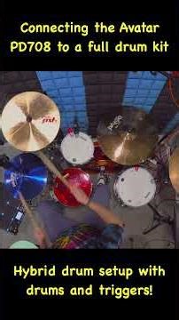How to hook up the Avatar PD708 to Acoustic Drums #hybriddrums #edrums