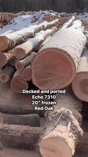 Chainsaw Sound Like Music on a Cold Winter Morning