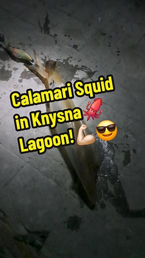 Calamari Squid Fishing in Knysna Lagoon - First Real Catch After 41 Years!