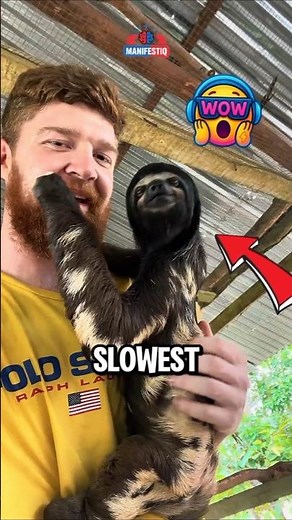 The Slowest Animals on Earth?! 😱 #facts #animalfacts #wildlife