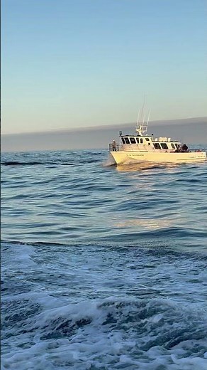 Oregon Charter Fishing Depoe Bay #oregon #fishing #pnw #viralvideo #depoebay #pacificocean #water
