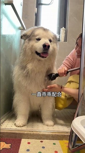 Unveiling the Distinction: Bio Mom vs. Stepdad