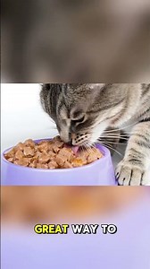 Is Your Cat Constipated? Here’s What You Need to Know! #CatCare #CatHealth #CatTips#PetCare #VetTips