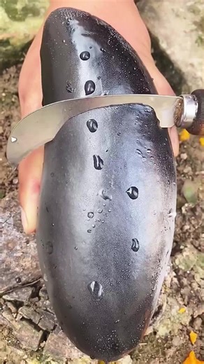 Discover Incredible Organic Fruits That Grow Naturally