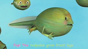 【史上最全英文儿歌单曲收集】Frog Song (Life Cycle of a Frog)