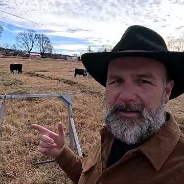 Bad Hay? Here’s Why Cows Avoid It #farming #farmer