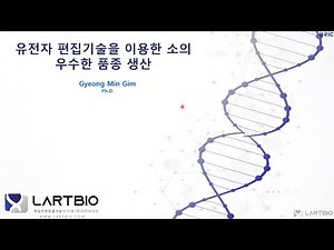 유전자 편집기술을 이용한 소의 우수한 품종 생산