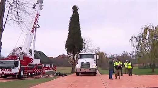 Rockefeller Center Christmas Tree starts its journey to Manhattan