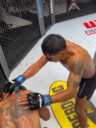 Muay Thai vs. Kickboxing: Power & Technique